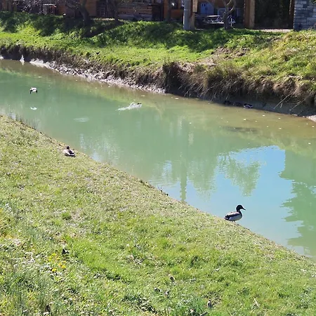 Mandi - Pet Friendly Sečovlje