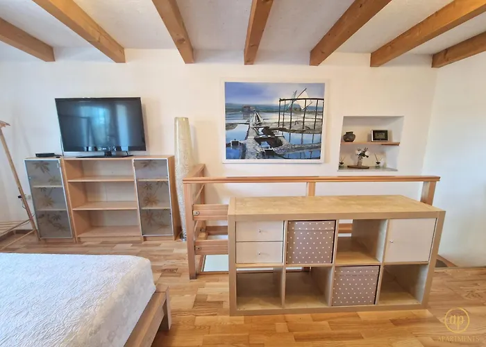 Mandi - Pet Friendly * Sečovlje